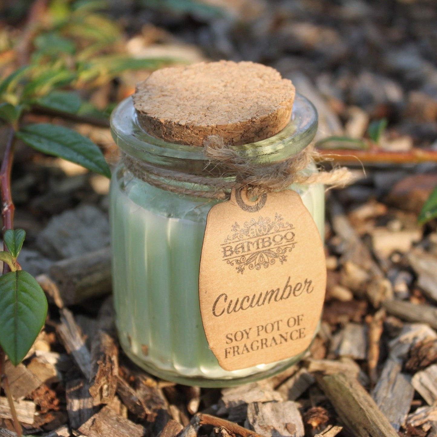 Cucumber Soy Pot of Fragrance Candles Soy Pot of Fragrance Candle - Bath Indulgence