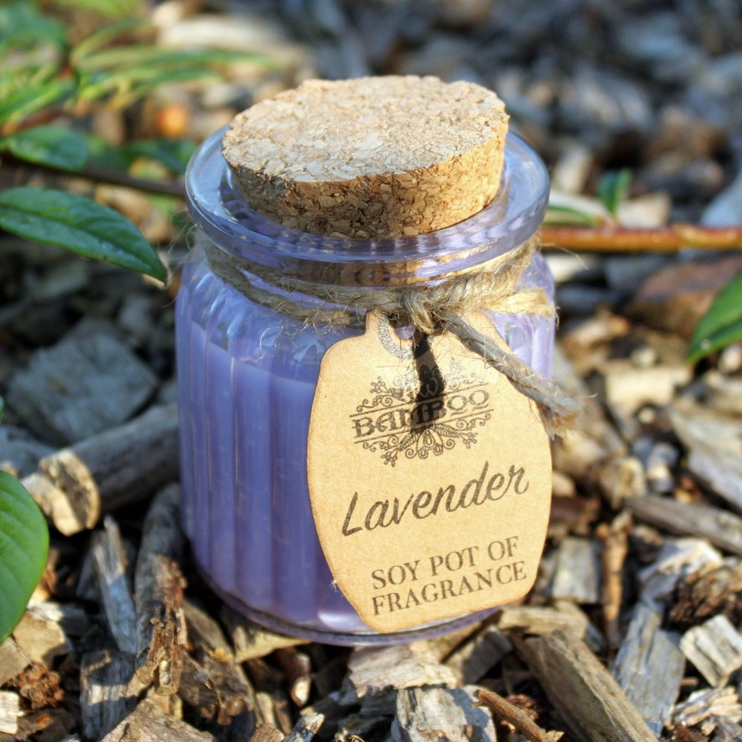 Lavender Soy Pot of Fragrance Candles Soy Pot of Fragrance Candle - Bath Indulgence
