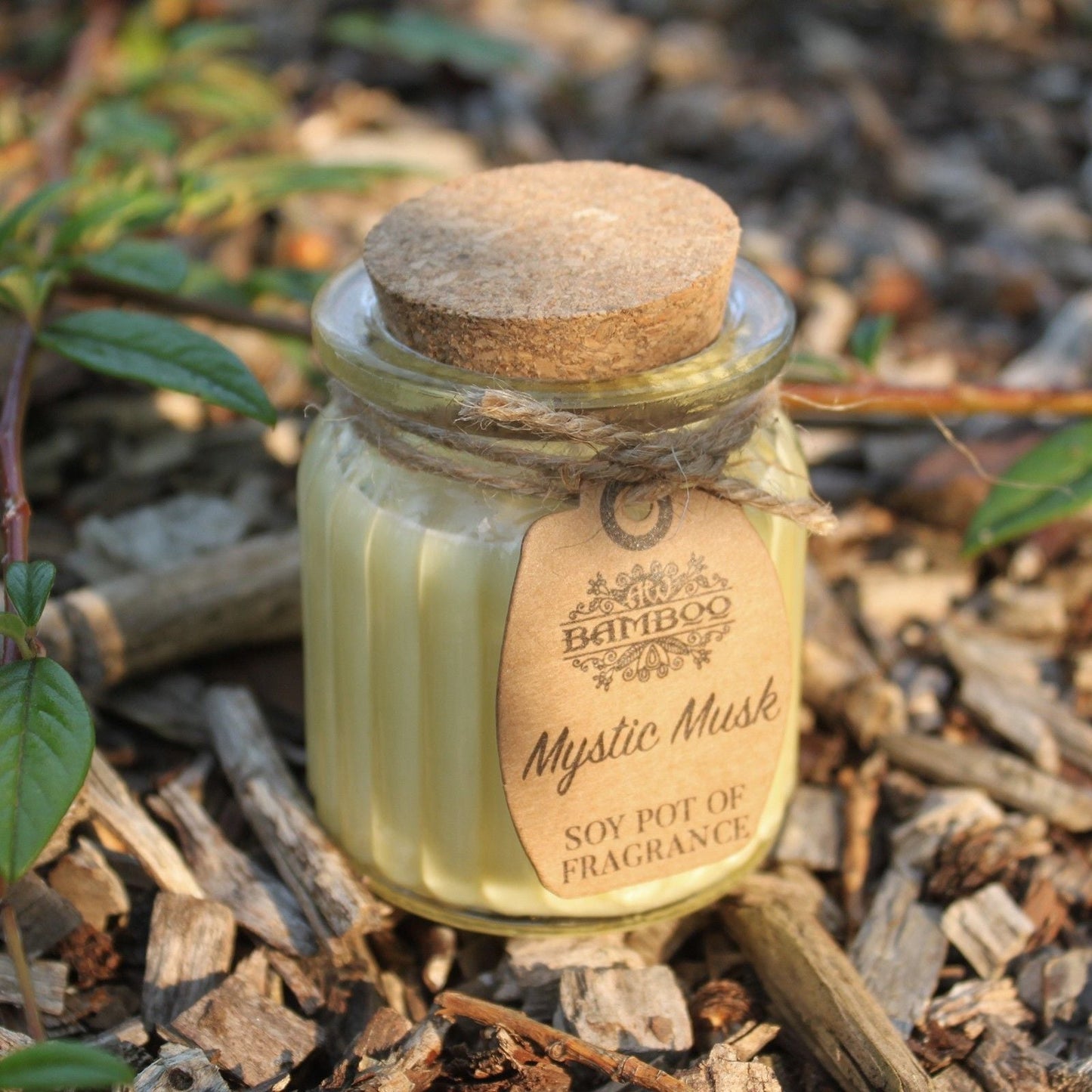 Mystic Musk Soy Pot of Fragrance Candles Soy Pot of Fragrance Candle - Bath Indulgence