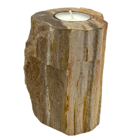 Petrified Wood Candle Holder - Single Tall Petrified Wood Candle Holder - Bath Indulgence