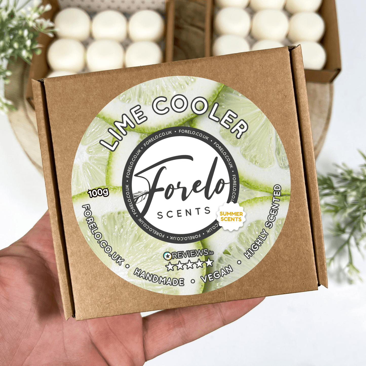 Lime Cooler Soy Wax Melt - Bath Indulgence