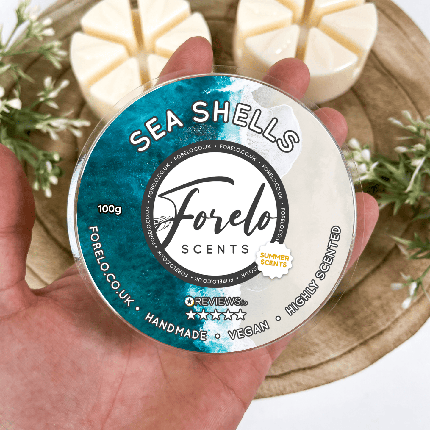 Sea Shells Soy Wax Melt - Bath Indulgence