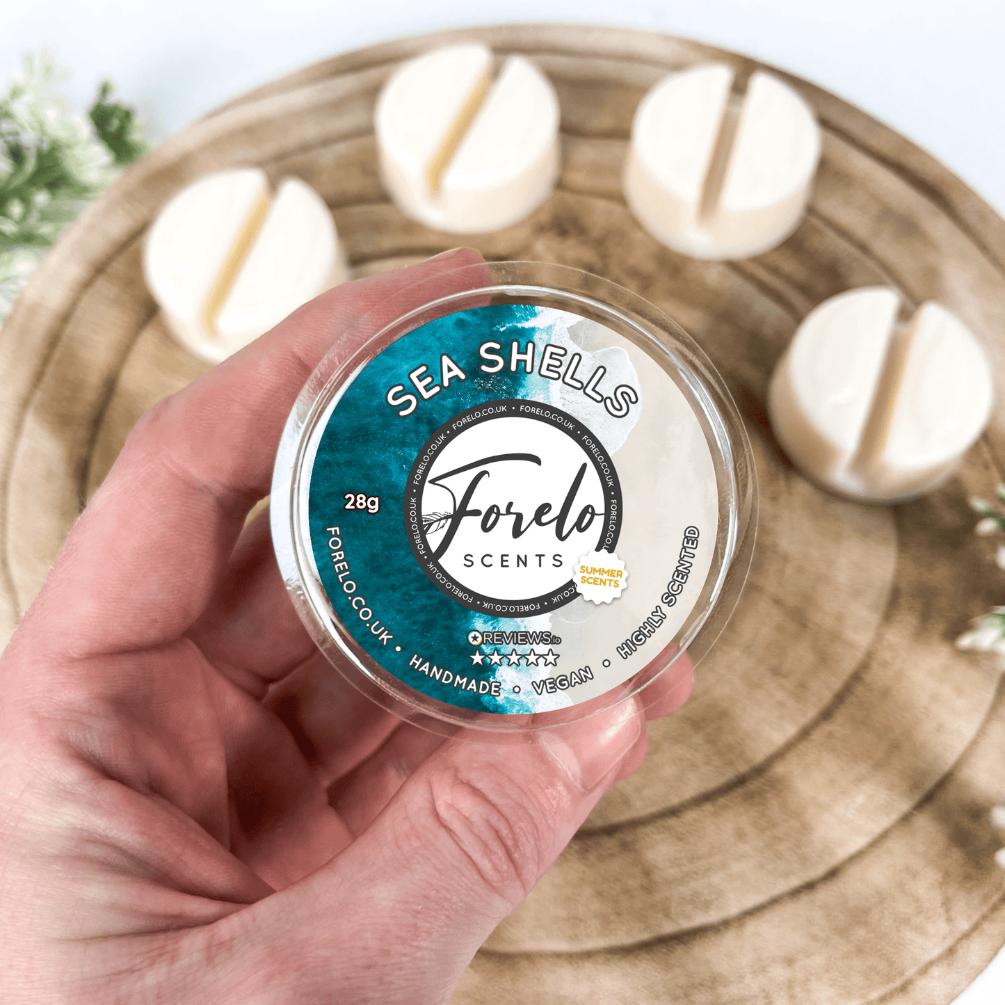 Sea Shells Soy Wax Melt - Bath Indulgence