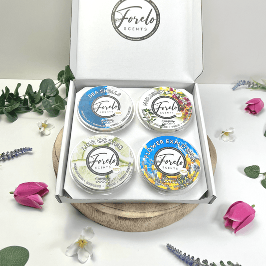 Summer Soy Wax Melt Bundle (4 x 100g) - Bath Indulgence