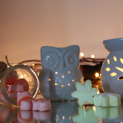 Classic White Oil Burner - Tall Owl Classic White Oil Burners - Bath Indulgence