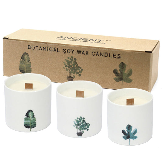 Large Botanical Candles - Marsh Viola Botanical Candles - Bath Indulgence