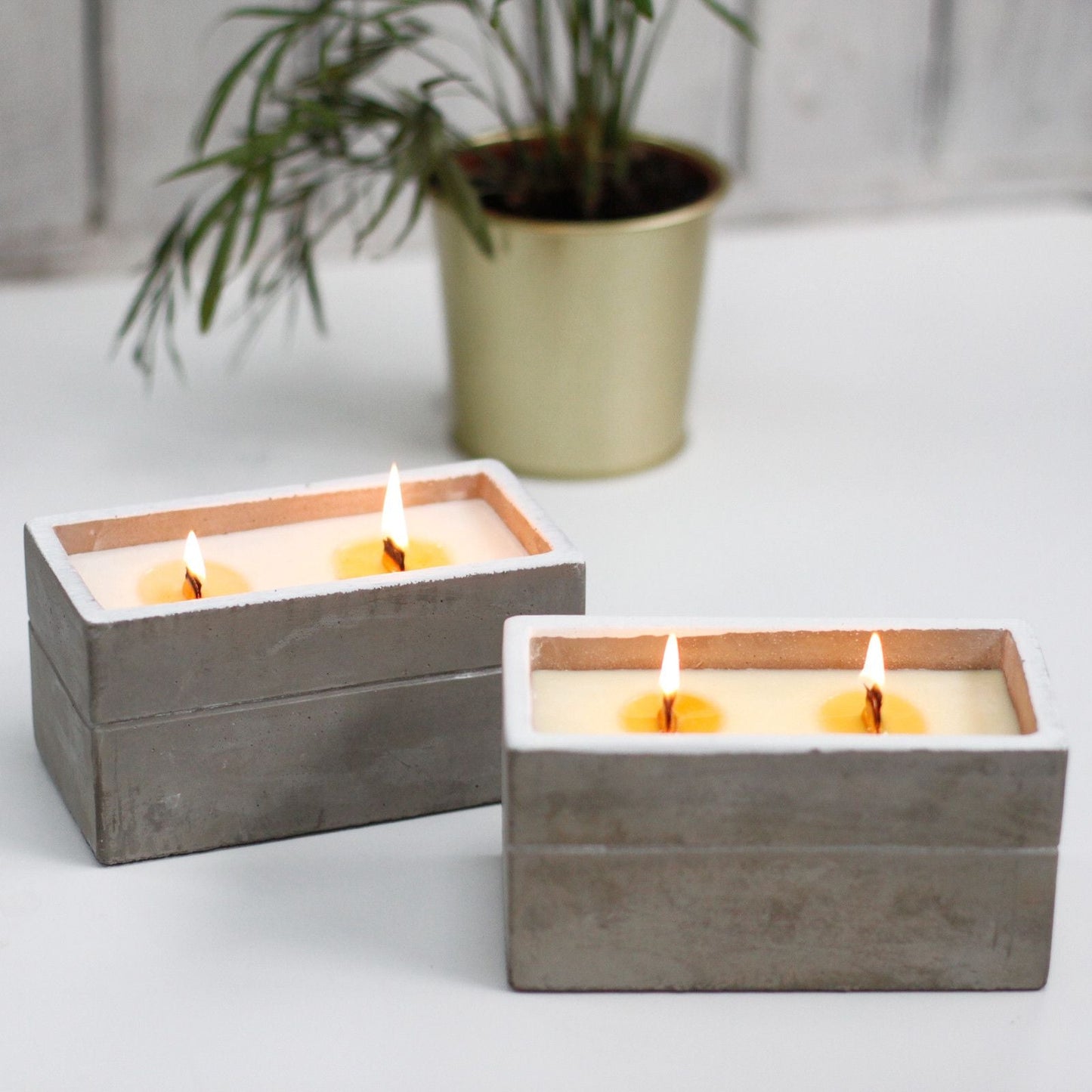 Large Box - Spiced South Sea Lime Concrete Wooden Wick Candle - Bath Indulgence