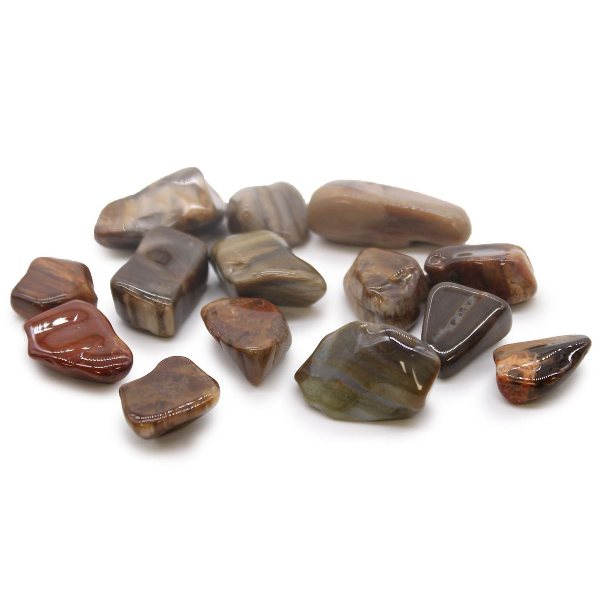 M Tumble Stone - Petrified Wood Medium and Large Tumble Stones - Bath Indulgence