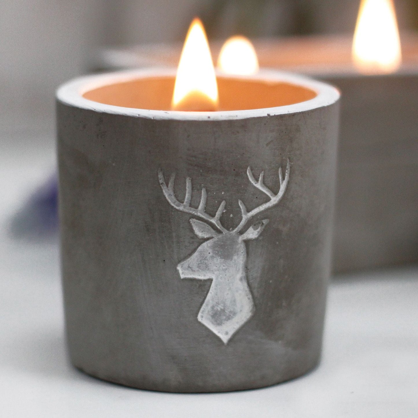 Med Pot - Stag Head - Whiskey & Woodsmoke Concrete Wooden Wick Candle - Bath Indulgence