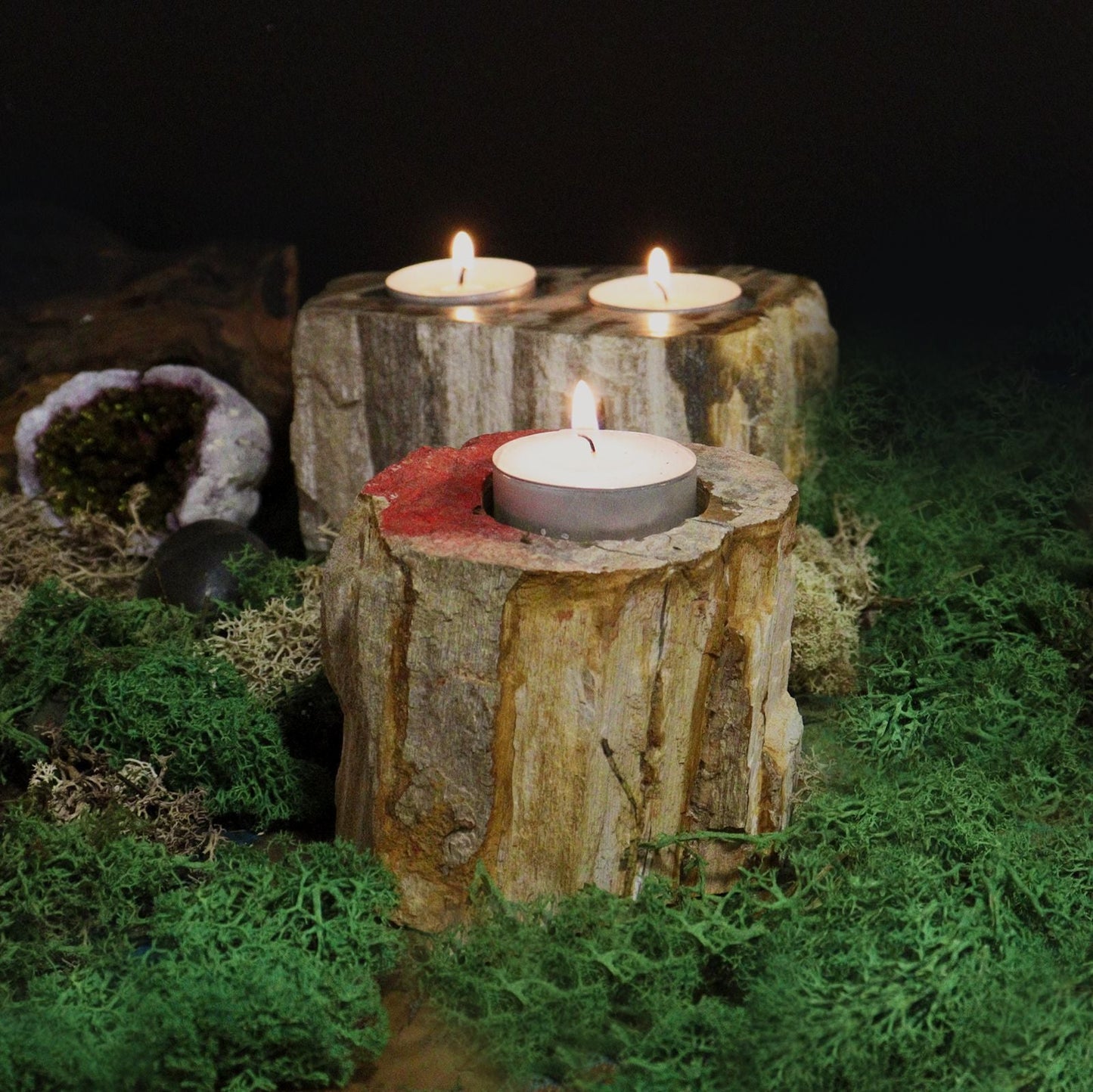 Petrified Wood Candle Holder - Double Petrified Wood Candle Holder - Bath Indulgence