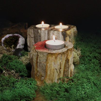 Petrified Wood Candle Holder - Double Petrified Wood Candle Holder - Bath Indulgence