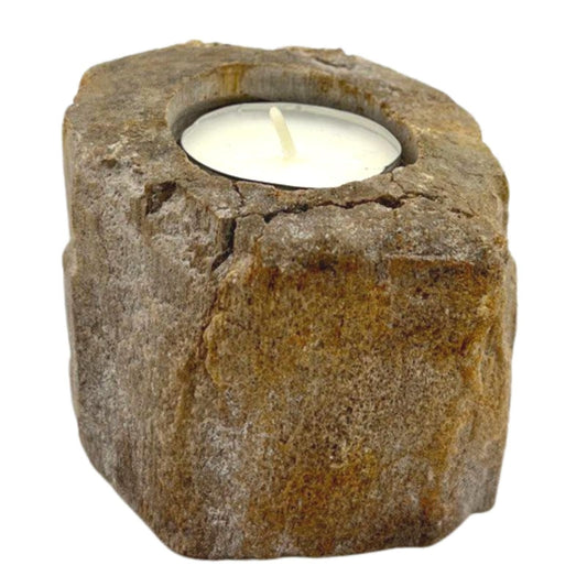 Petrified Wood Candle Holder - Single Low Petrified Wood Candle Holder - Bath Indulgence
