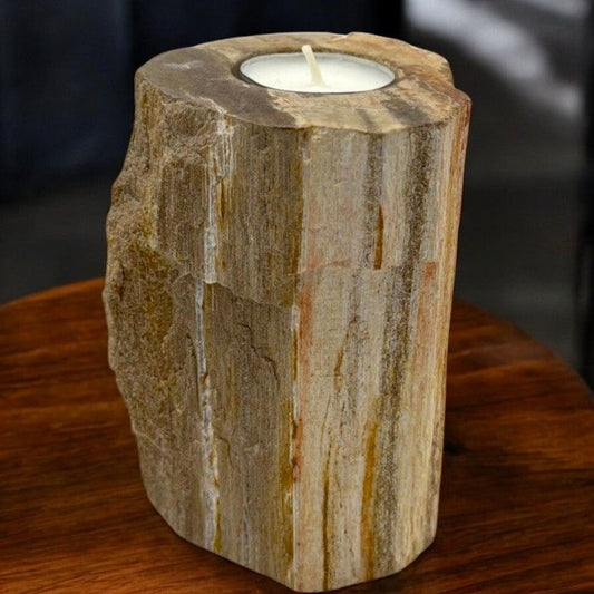 Petrified Wood Candle Holder - Single Tall Petrified Wood Candle Holder - Bath Indulgence