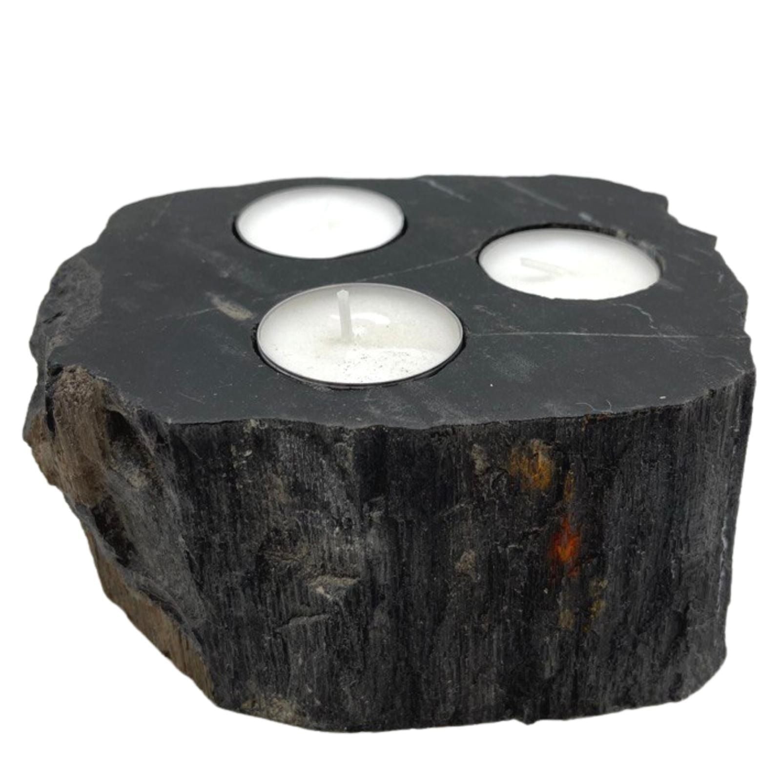 Petrified Wood Candle Holder - Triple Petrified Wood Candle Holder - Bath Indulgence