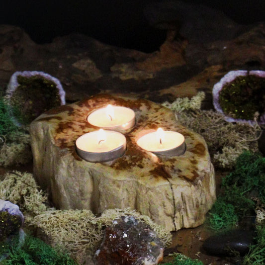 Petrified Wood Candle Holder - Triple Petrified Wood Candle Holder - Bath Indulgence