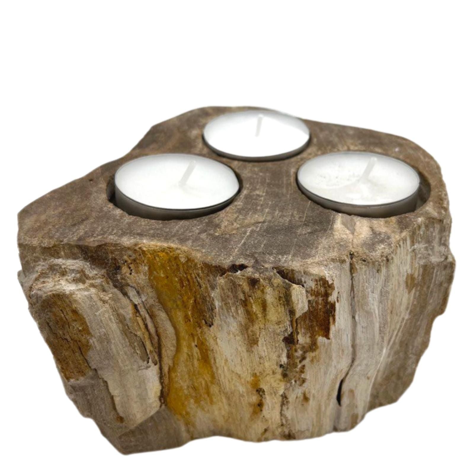 Petrified Wood Candle Holder - Triple Petrified Wood Candle Holder - Bath Indulgence
