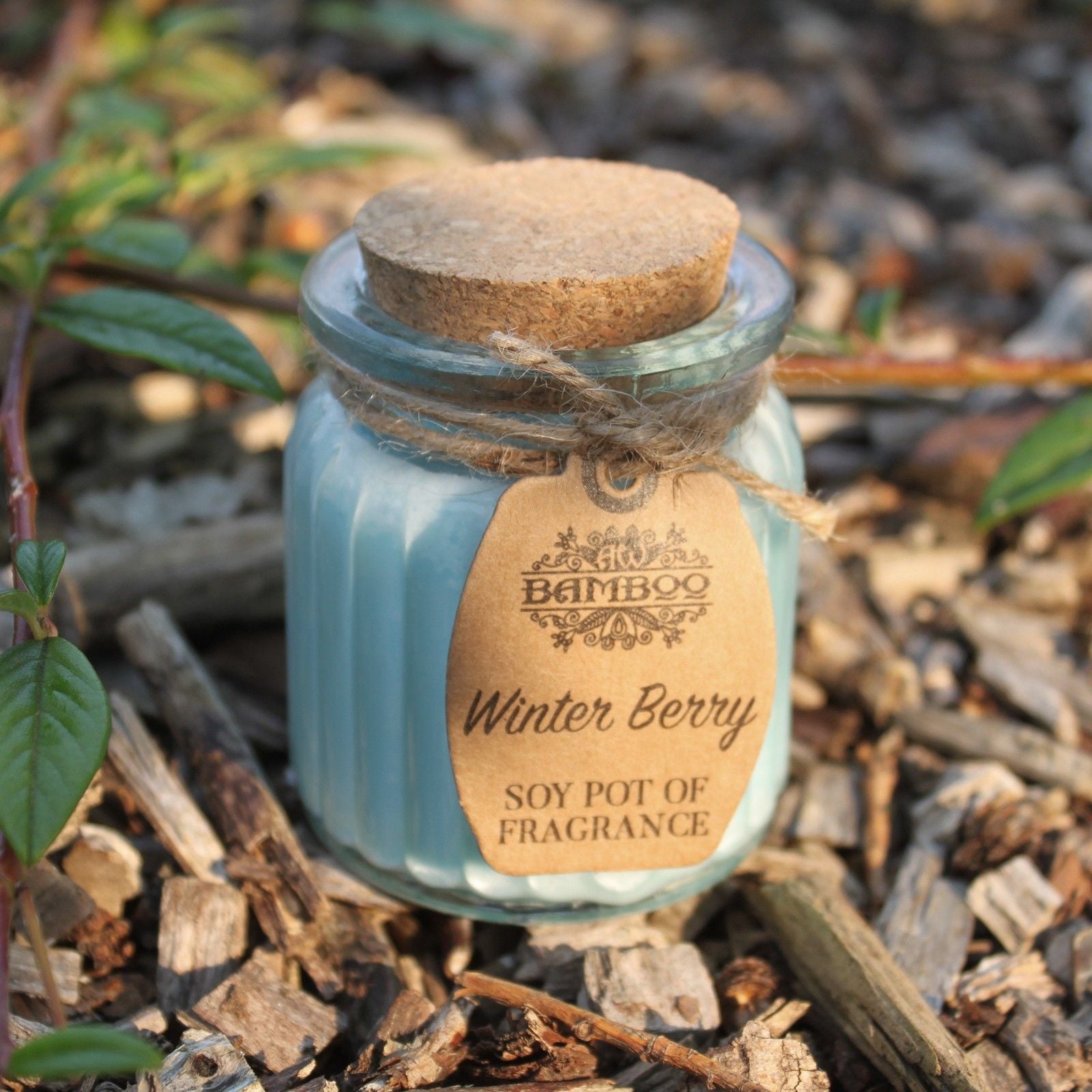 Winter Berry Soy Pot of Fragrance Candles Soy Pot of Fragrance Candle - Bath Indulgence