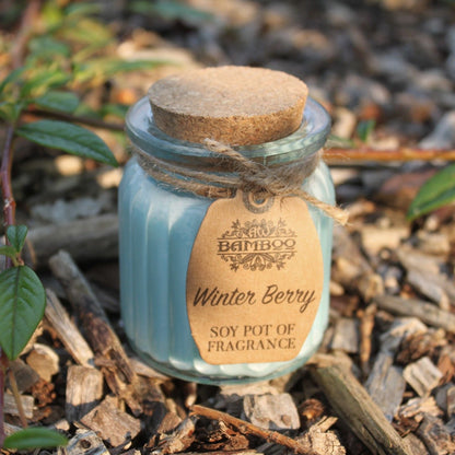 Winter Berry Soy Pot of Fragrance Candles Soy Pot of Fragrance Candle - Bath Indulgence