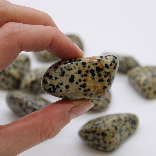XL Tumble Stones - Dalmation Stone Extra Large Tumbled Stones - Bath Indulgence
