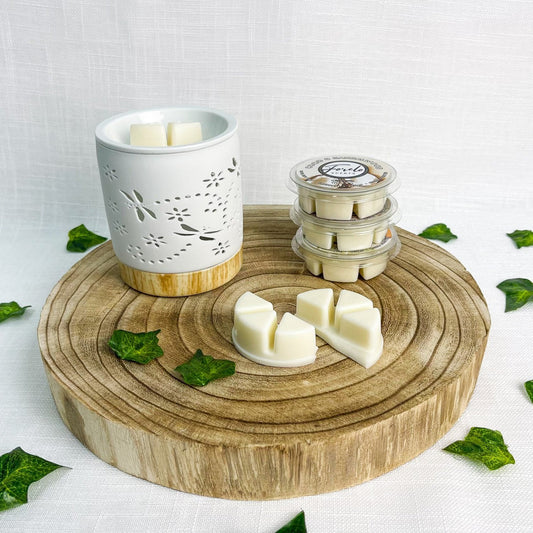 Dragonfly Burner & Wax Melt Bundle