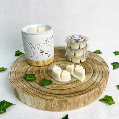 Dragonfly Burner & Wax Melt Bundle - Bath Indulgence