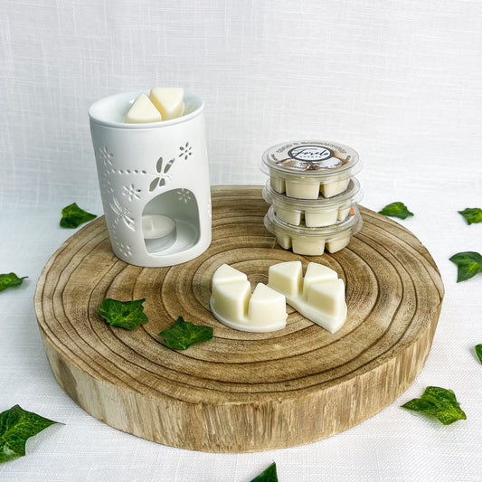 Dragonfly Tea Light Burner & Wax Melt Bundle - Bath Indulgence
