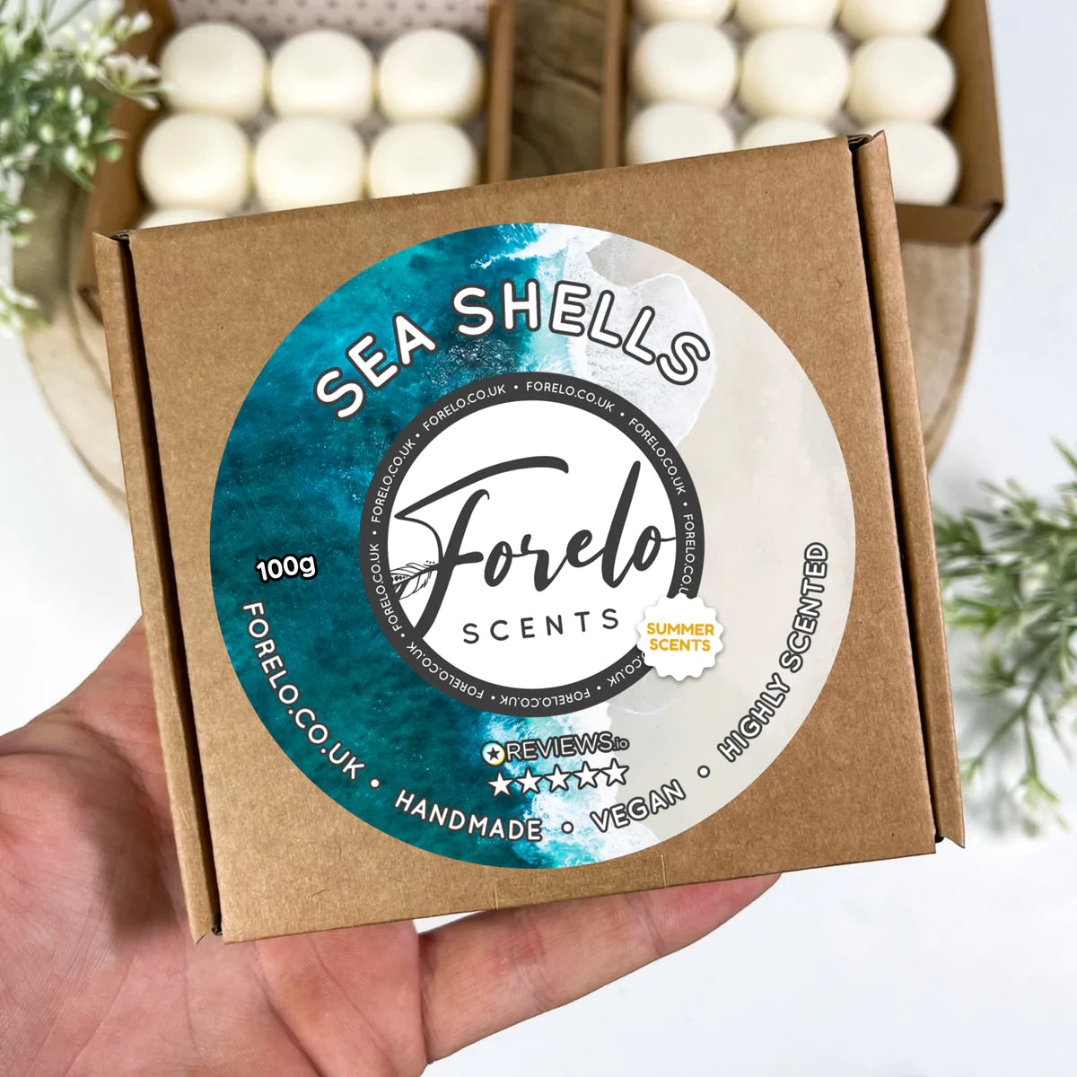Summer Soy Wax Melt Box Bundle (4 x 100g)